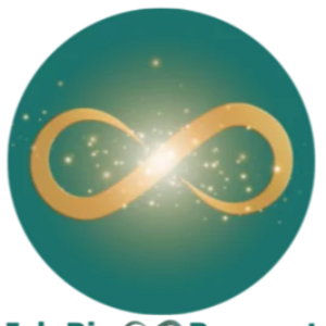 Online Kongress System